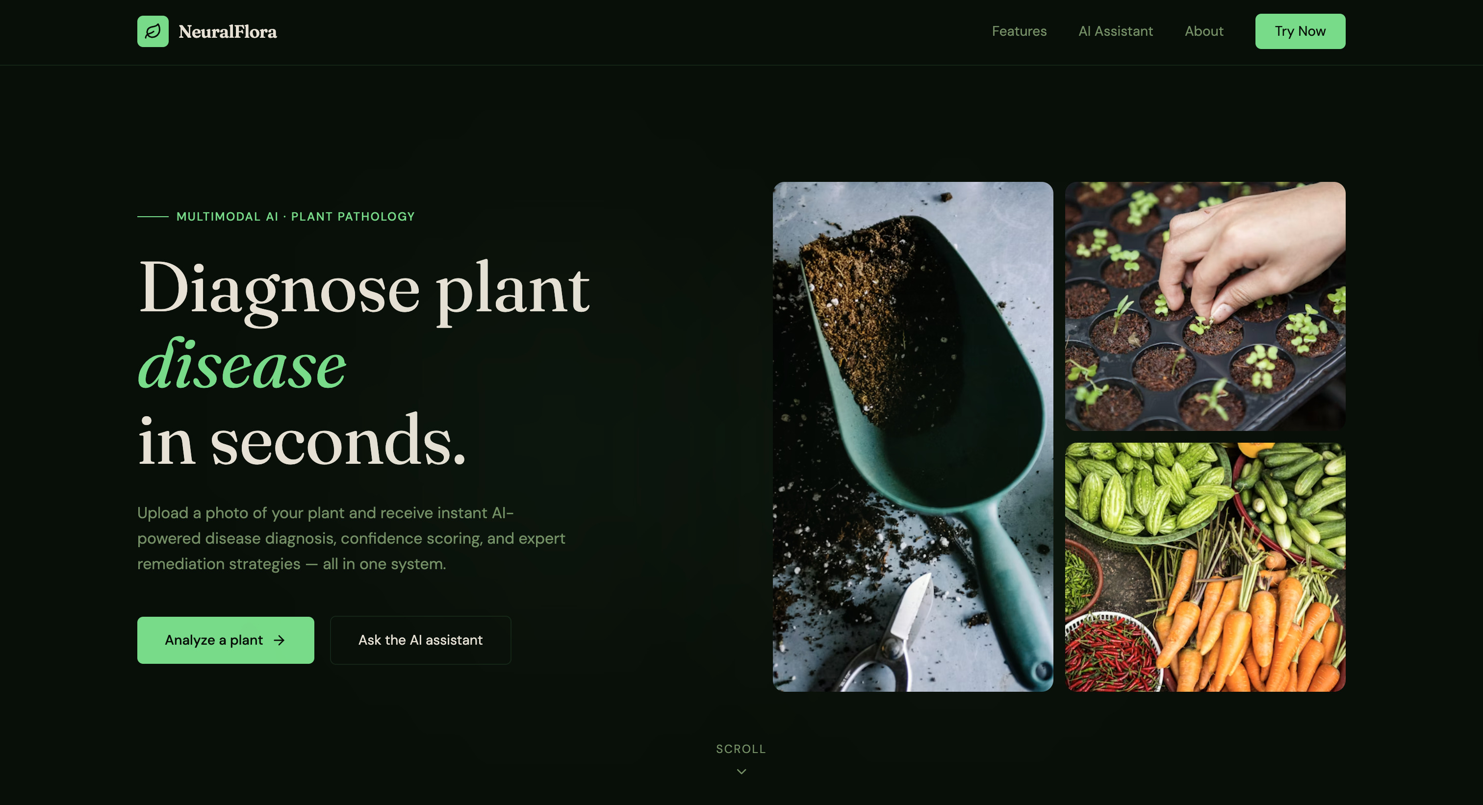 NeuralFlora Preview